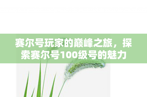 赛尔号玩家的巅峰之旅,探索赛尔号100级号的魅力 赛尔号玩家的巅峰之旅,探索赛尔号100级号的魅力