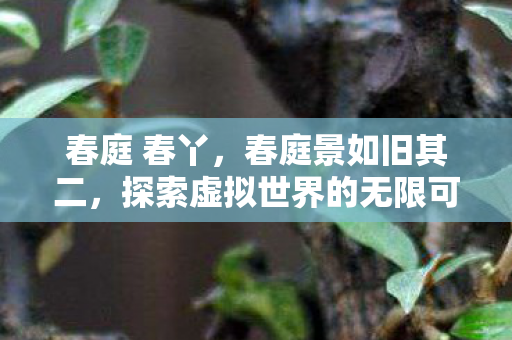 春庭 春丫，春庭景如旧其二，探索虚拟世界的无限可能