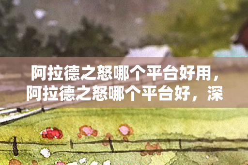 阿拉德之怒哪个平台好用，阿拉德之怒哪个平台好，深度解析官方授权平台的优势