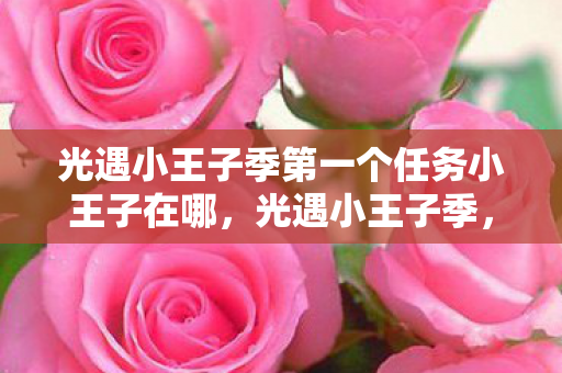 光遇小王子季第一个任务小王子在哪，光遇小王子季，启程之旅，探索心灵的奥秘