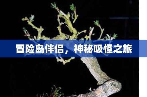 冒险岛伴侣,神秘吸怪之旅 冒险岛伴侣,神秘吸怪之旅