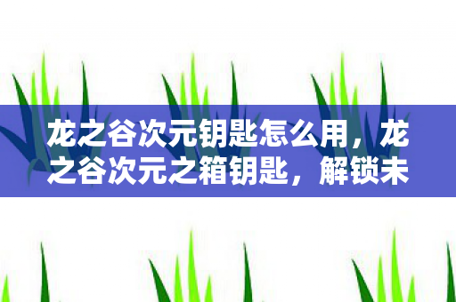 龙之谷次元钥匙怎么用，龙之谷次元之箱钥匙，解锁未知世界的神秘钥匙