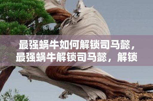 最强蜗牛如何解锁司马懿图片