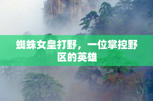 蜘蛛女皇打野，一位掌控野区的英雄