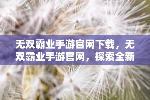 无双霸业手游官网下载，无双霸业手游官网，探索全新游戏世界的奇妙之旅