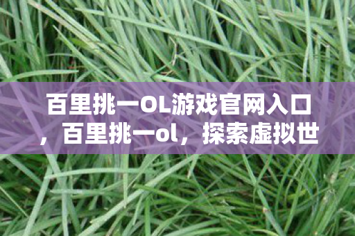 百里挑一OL游戏官网入口，百里挑一ol，探索虚拟世界的无限可能