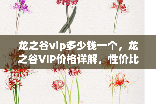 龙之谷vip多少钱一个图片