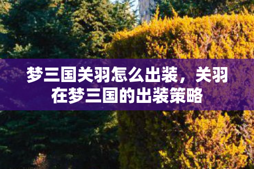 梦三国关羽怎么出装，关羽在梦三国的出装策略