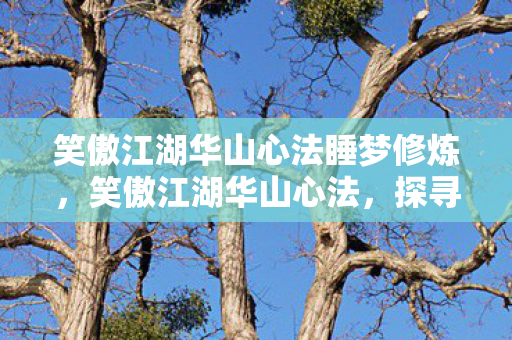 笑傲江湖华山心法睡梦修炼，笑傲江湖华山心法，探寻武学真谛，领悟华山精神