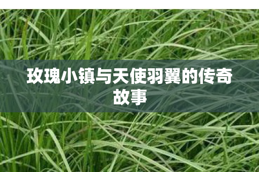 玫瑰小镇与天使羽翼的传奇故事