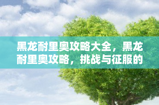 黑龙耐里奥攻略大全，黑龙耐里奥攻略，挑战与征服的终极指南