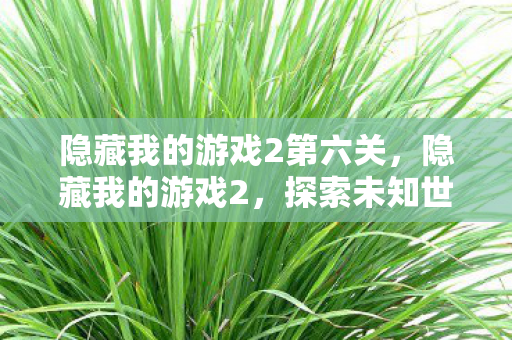 隐藏我的游戏2第六关，隐藏我的游戏2，探索未知世界的奇妙之旅