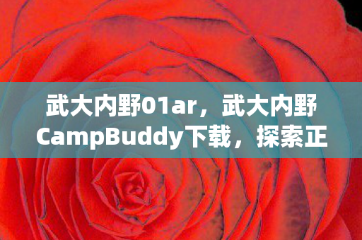 武大内野CampBuddy下载图片