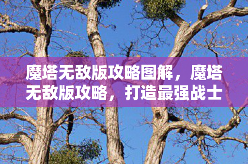 魔塔无敌版攻略图解，魔塔无敌版攻略，打造最强战士的终极指南