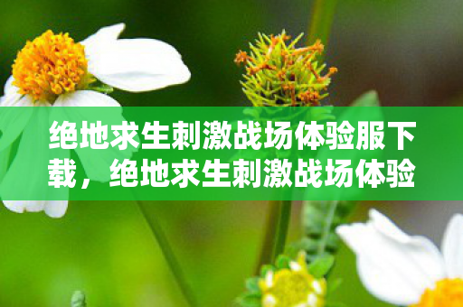 绝地求生刺激战场体验服下载图片