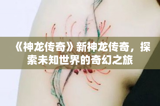 《神龙传奇》新神龙传奇，探索未知世界的奇幻之旅
