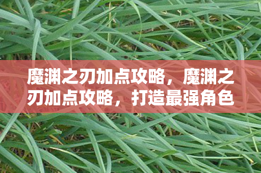 打造最强角色的关键步骤图片