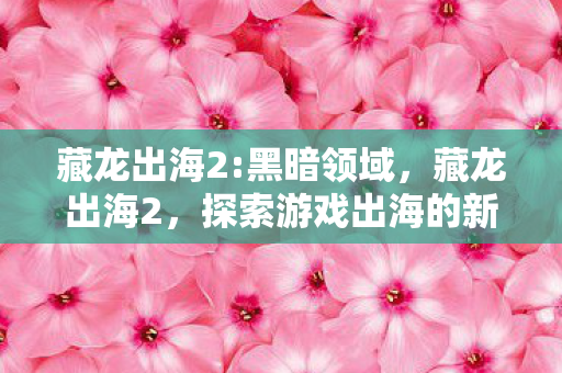 探索游戏出海的新蓝海图片