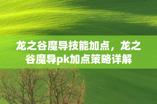 龙之谷魔导pk加点策略详解图片