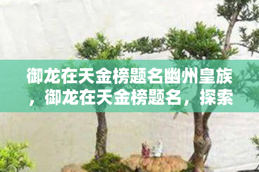 御龙在天金榜题名幽州皇族图片