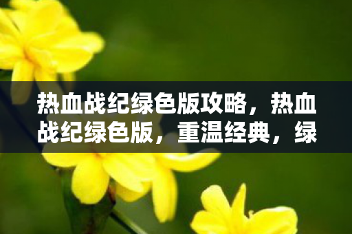 热血战纪绿色版攻略图片