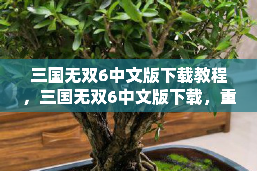 三国无双6中文版下载教程，三国无双6中文版下载，重温经典，畅享无双