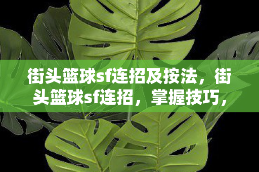 街头篮球sf连招及按法，街头篮球sf连招，掌握技巧，提升实战能力