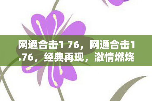 网通合击1 76，网通合击1.76，经典再现，激情燃烧的岁月