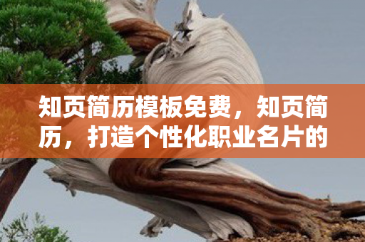 知页简历模板免费,知页简历,打造个性化职业名片的秘密武器 知页简历模板免费,知页简历,打造个性化职业名片的秘密武器