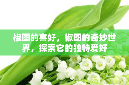 探索它的独特爱好图片