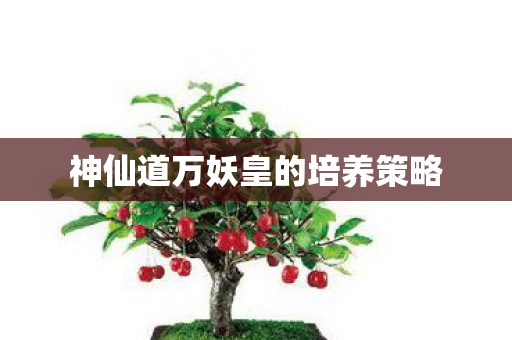 神仙道万妖皇的培养策略 神仙道万妖皇的培养策略