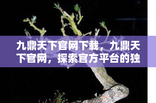 九鼎天下官网下载,九鼎天下官网,探索官方平台的独特魅力与优势 九鼎天下官网下载,九鼎天下官网,探索官方平台的独特魅力与优势