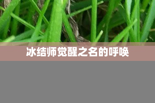冰结师觉醒之名的呼唤 冰结师觉醒之名的呼唤