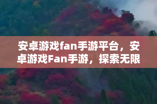 安卓游戏fan手游平台，安卓游戏Fan手游，探索无限可能的移动娱乐新纪元