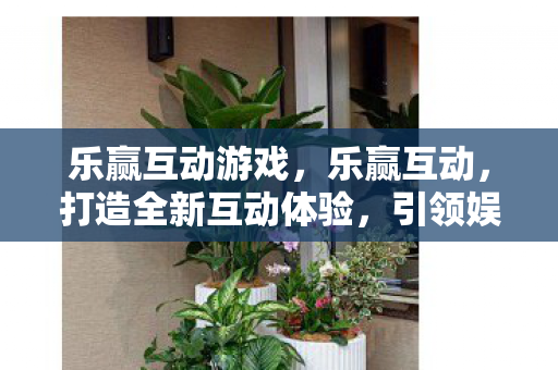 乐赢互动游戏，乐赢互动，打造全新互动体验，引领娱乐新风尚