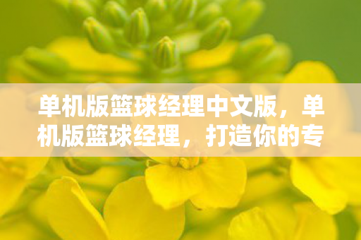 单机版篮球经理中文版图片