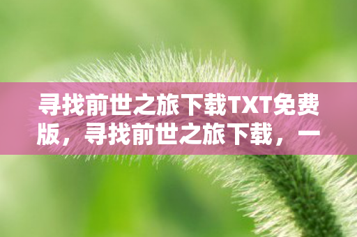 寻找前世之旅下载TXT免费版，寻找前世之旅下载，一场穿越时空的奇幻之旅