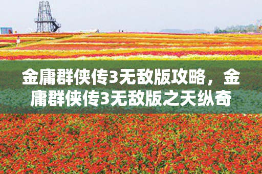 金庸群侠传3无敌版攻略,金庸群侠传3无敌版之天纵奇才 金庸群侠传3无敌版攻略,金庸群侠传3无敌版之天纵奇才