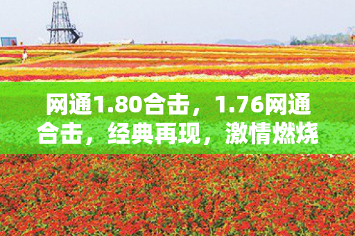 网通1.80合击，1.76网通合击，经典再现，激情燃烧的岁月