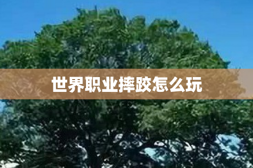 世界职业摔跤怎么玩 世界职业摔跤怎么玩
