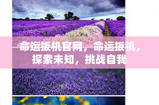 命运扳机官网，命运扳机，探索未知，挑战自我