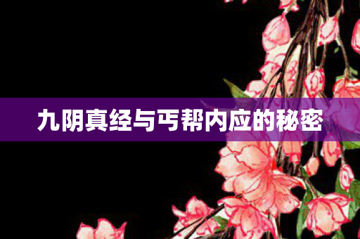九阴真经与丐帮内应的秘密