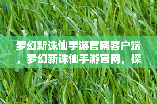 梦幻新诛仙手游官网客户端,梦幻新诛仙手游官网,探索仙魔世界的奇妙之旅 梦幻新诛仙手游官网客户端,梦幻新诛仙手游官网,探索仙魔世界的奇妙之旅