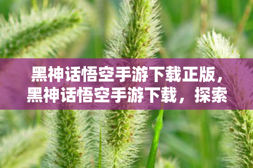 黑神话悟空手游下载正版,黑神话悟空手游下载,探索神秘世界的奇幻之旅 黑神话悟空手游下载正版,黑神话悟空手游下载,探索神秘世界的奇幻之旅