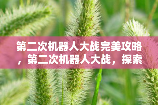 第二次机器人大战完美攻略,第二次机器人大战,探索未来战争的无限可能 第二次机器人大战完美攻略,第二次机器人大战,探索未来战争的无限可能