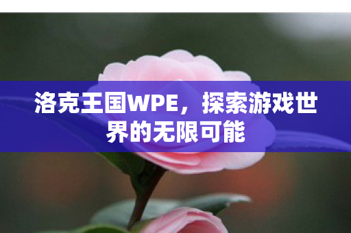 洛克王国WPE,探索游戏世界的无限可能 洛克王国WPE,探索游戏世界的无限可能