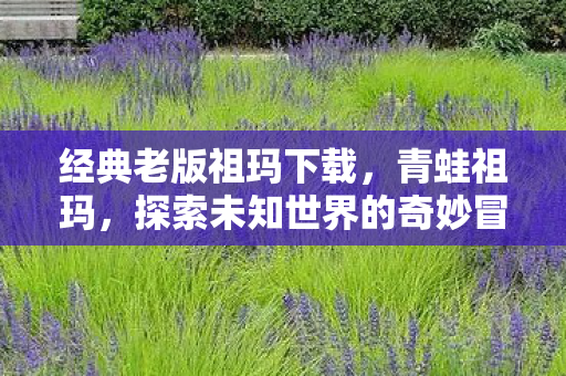 探索未知世界的奇妙冒险图片