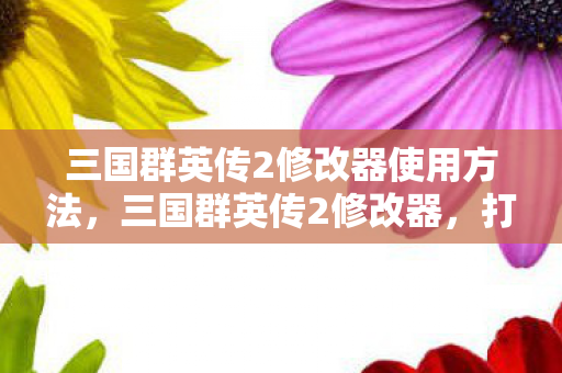三国群英传2修改器使用方法图片
