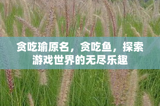 探索游戏世界的无尽乐趣图片