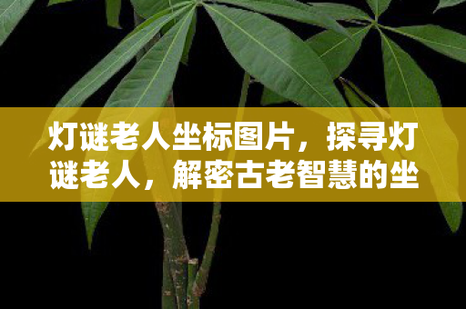 灯谜老人坐标图片,探寻灯谜老人,解密古老智慧的坐标 灯谜老人坐标图片,探寻灯谜老人,解密古老智慧的坐标